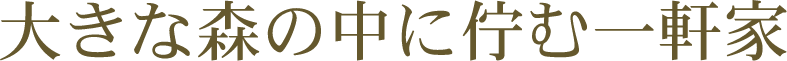 大きな森の中に佇む一軒家