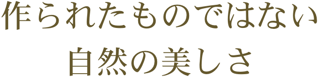 作られたものではない自然の美しさ