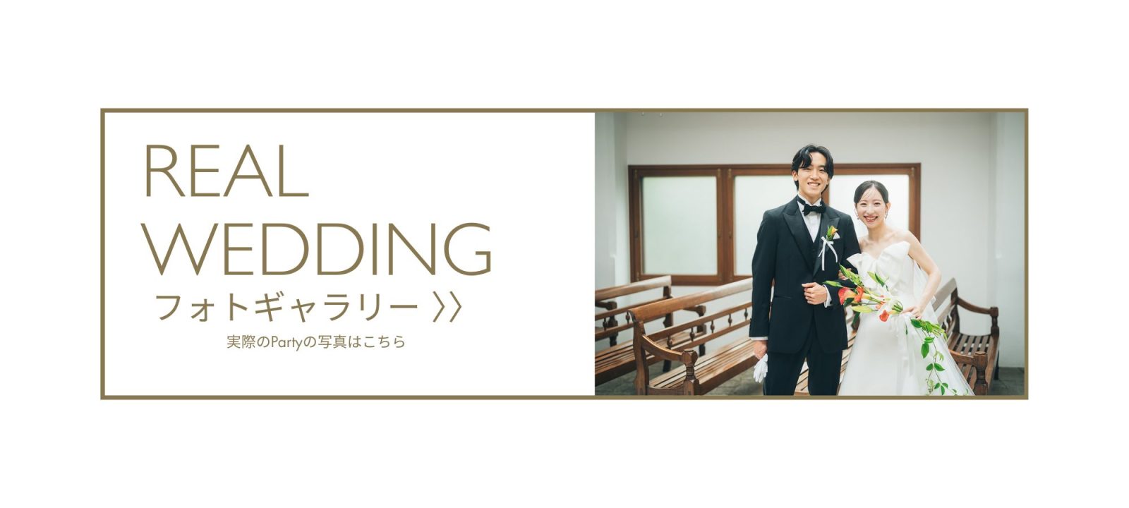 フォトギャラリー