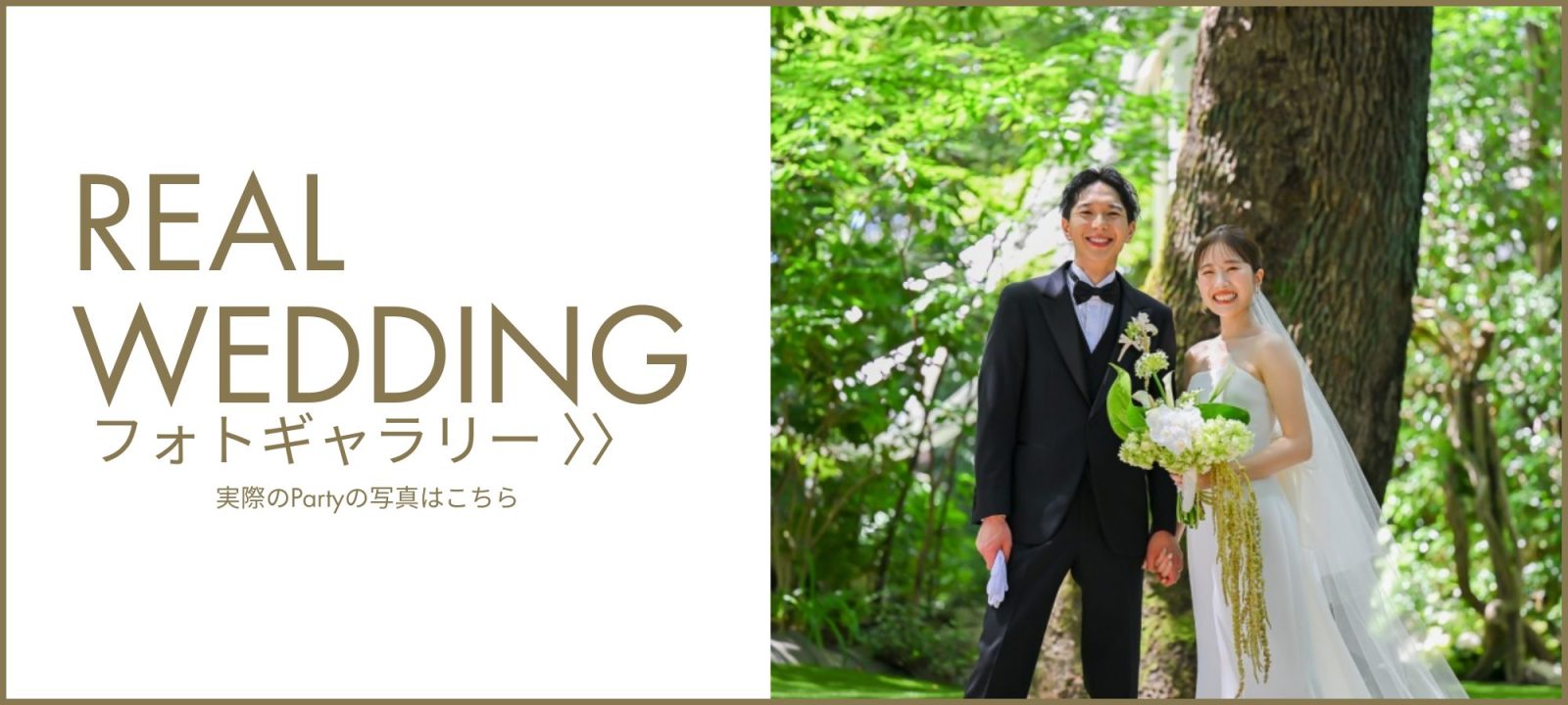 フォトギャラリー